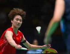 PG电子游戏-包含马来西亚羽毛球队险胜法国羽毛球队，辛杜送出助攻的词条